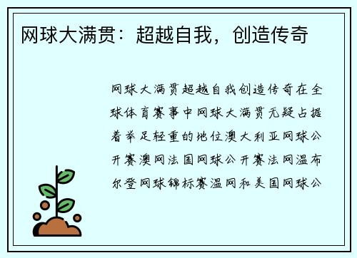 网球大满贯：超越自我，创造传奇